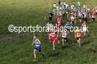 Boys under-13s, North East Harrier League, Cramlington. Photo: David T. Hewitson/Sports for All Pics